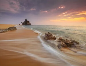 德国女足新主教练亮相横扫全球愿夺冠