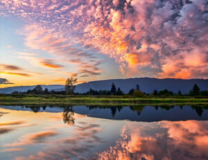 中国选手在拳击比赛中表现出色