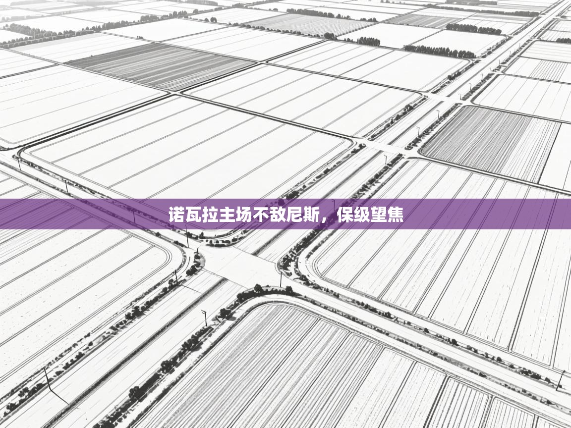 诺瓦拉主场不敌尼斯，保级望焦  第1张