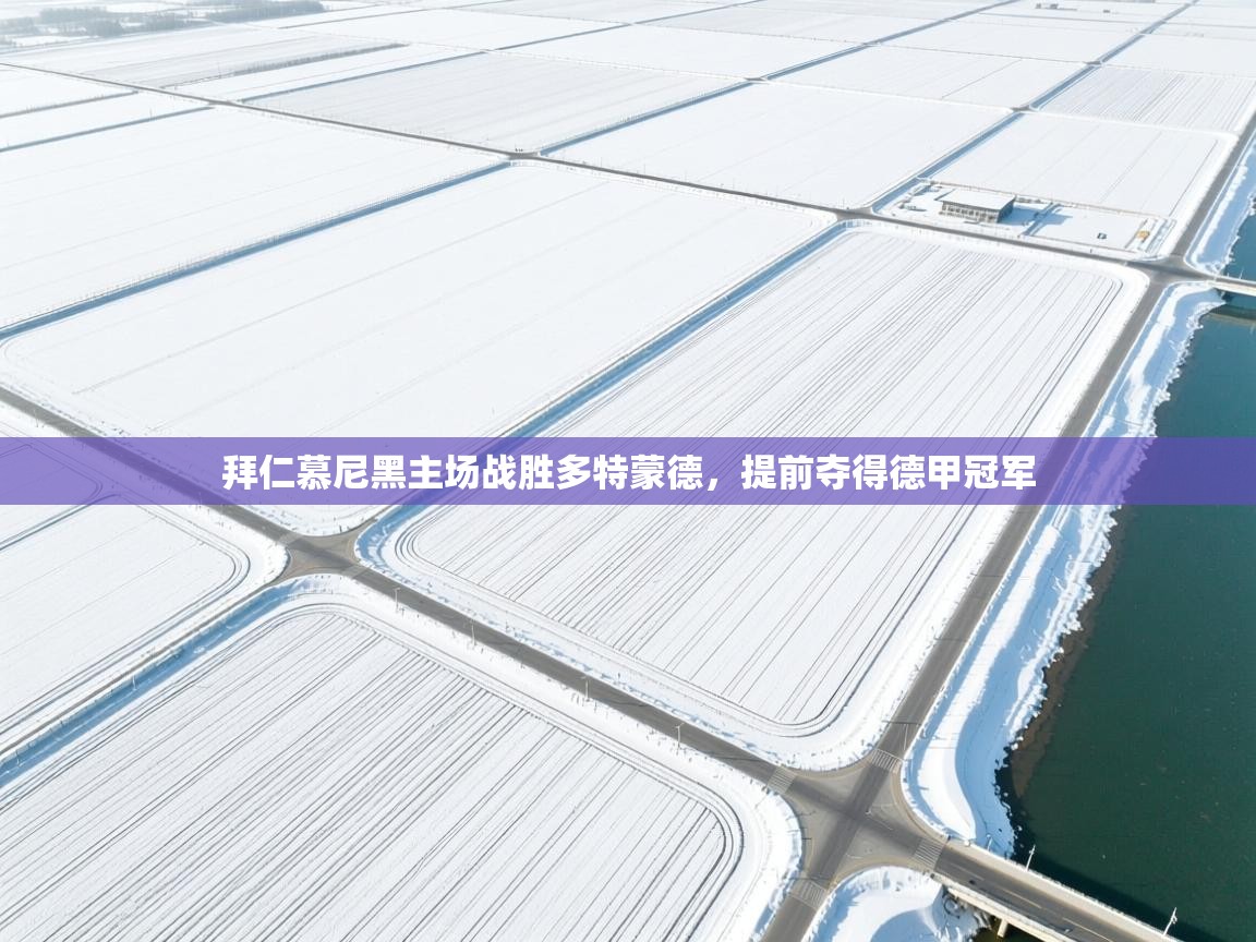 拜仁慕尼黑主场战胜多特蒙德，提前夺得德甲冠军